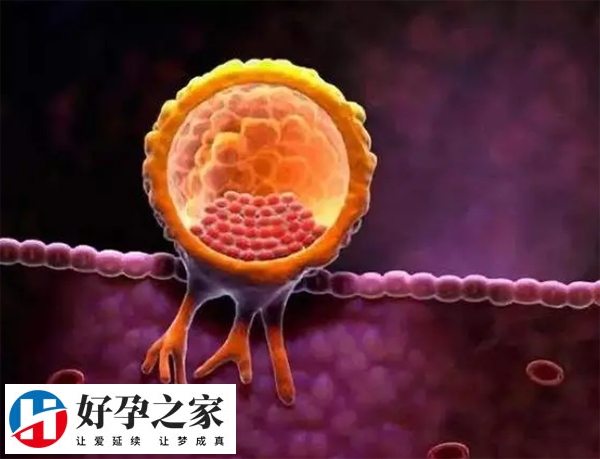 5d84aefd83a9d786b7a41c2a68cd0f1c_4QZRs06x8b1733475177172.png