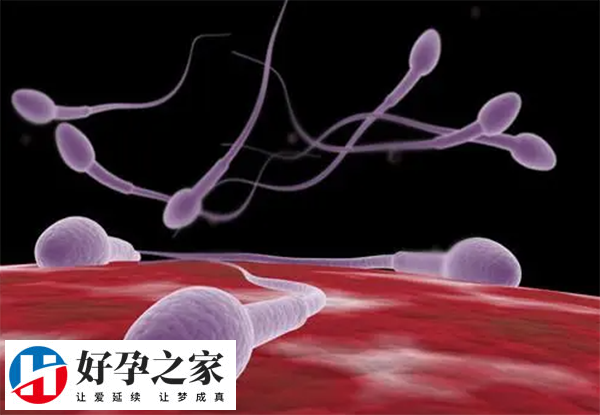 804b562568609e0766dc0e270fbbeb7d_CSEoVsC78D1733476782604.png