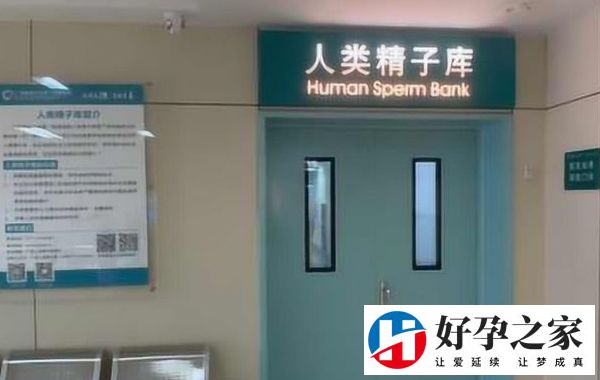 武汉用精子库做人工受精费用