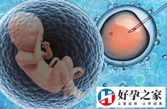 试管混血儿的优点和缺点 试管混血儿的优点和缺点