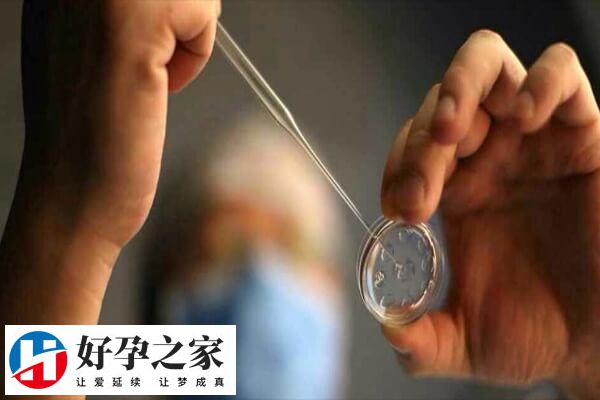 试管移植后要适当的运动