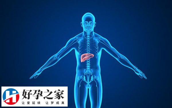 阿司匹林会损害肝功能