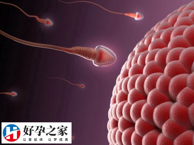 为什么会发生免疫性不孕