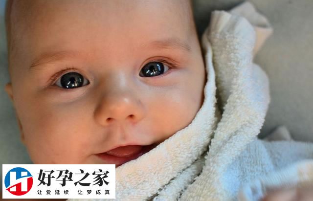 早产儿补铁的时间