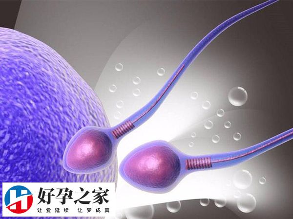 男方性功能障碍可以做人授