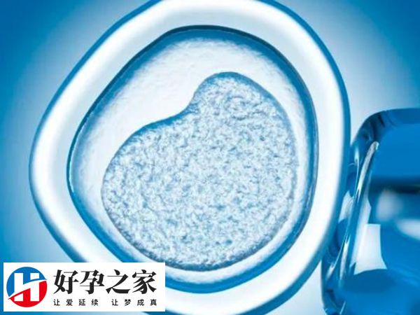 试管进周后一般是不需要天天去医院的