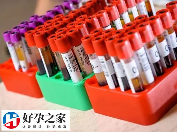 实施人授失败转试管前要做什么检查
