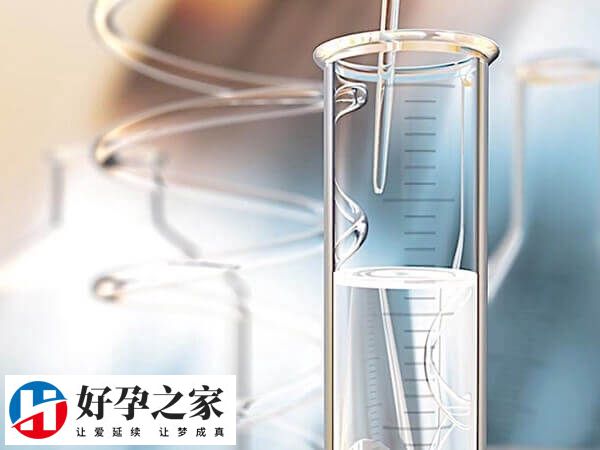提高卵子质量可提高试管成功率
