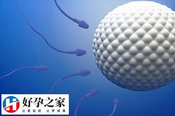 男性不育10步排查法的第一步是检查睾丸发育情况吗？