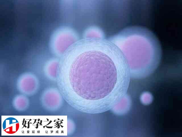 胚胎移植第11天肚子刺疼怎么回事