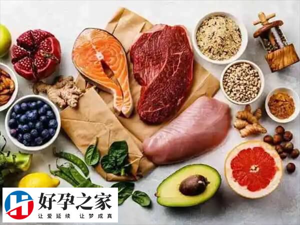 试管移植前补充蛋白质有没有用