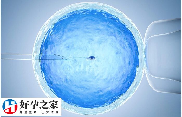 武汉大学人民医院做试管成功率在60%-65%