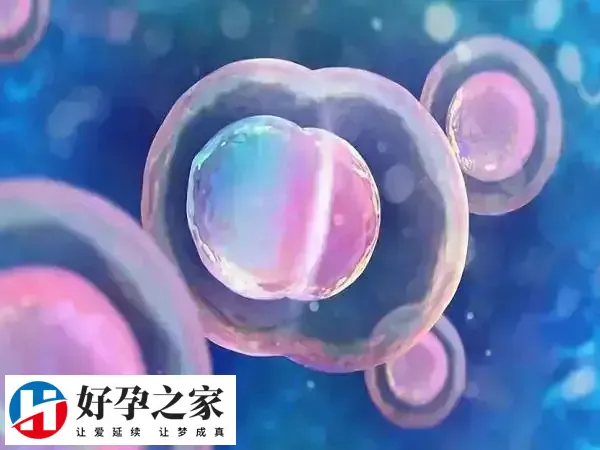 40岁做三代试管10万元够不够