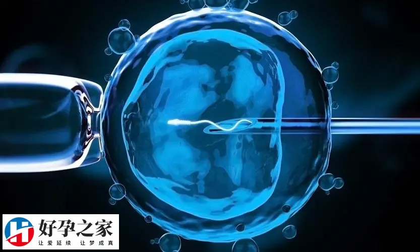 广州供卵不需要排队的医院有哪些？附相关供卵 试管费用清单