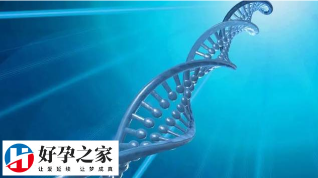 深圳私立机构试管婴儿可以做双胞胎吗？