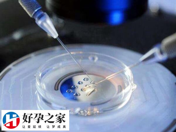 贵阳哪些试管婴儿医院排名最好