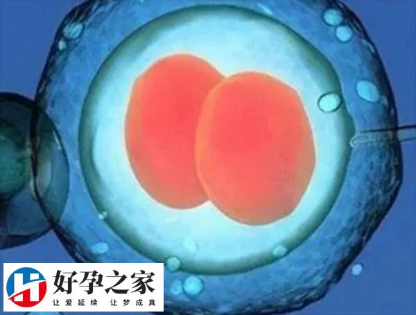 试管不成功会增加身体负担