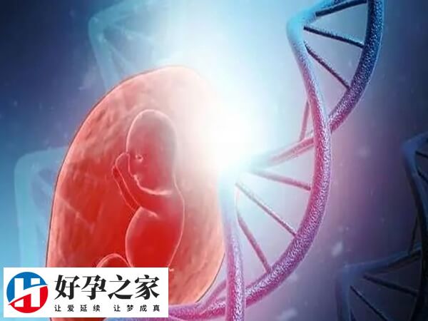42岁试管只有3个卵泡能不能成功
