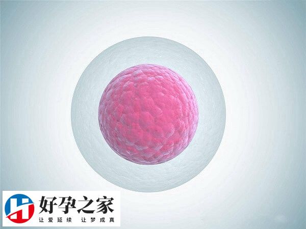 基础卵泡数量怎么调理