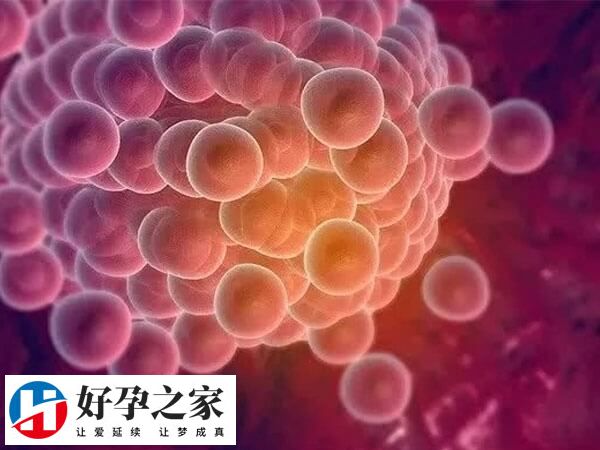 促排可治疗排卵障碍