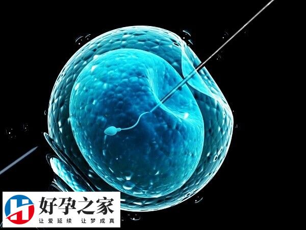 做试管婴儿要不要检测卵泡