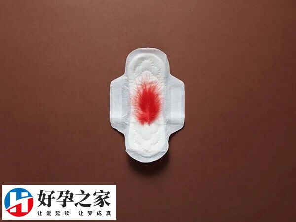 月经后就可以监测卵泡了