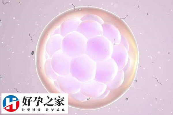 B超如何看卵泡张力是否欠佳