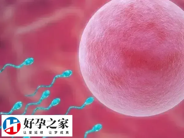 促排有空卵泡是什么原因