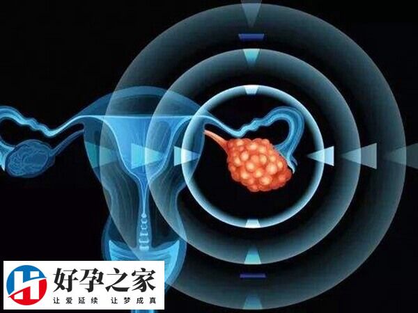 促排为什么越促卵泡越少