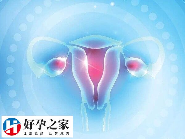 卵巢早衰会影响促排质量