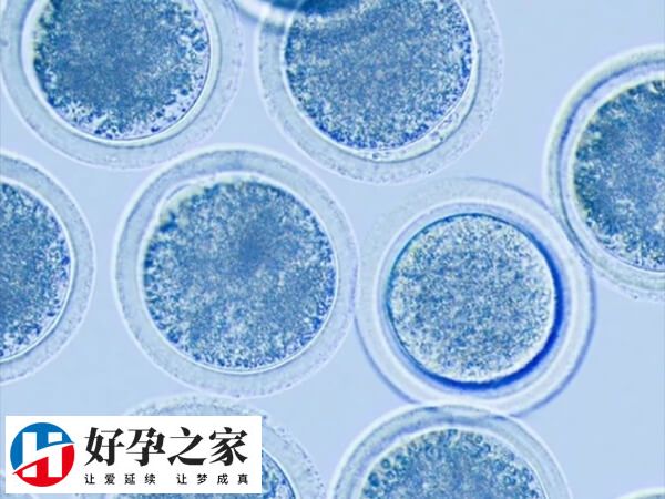 促排双胎有什么风险