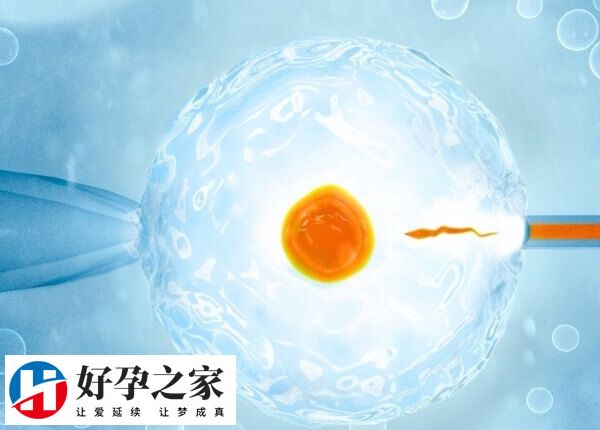 高龄绝经女性可不可以做试管怀孕