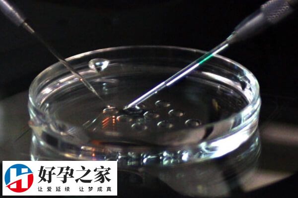 高龄做试管助孕有成功案例