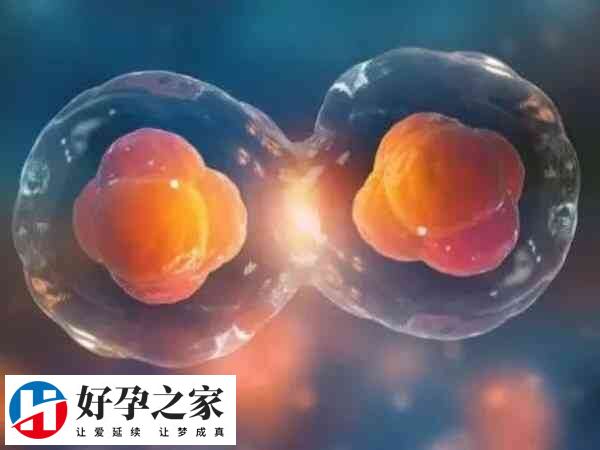 促排双胞胎两个都是空囊是怎么回事