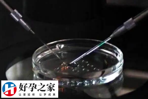 有的人囊胚移植成功后会出现小腹疼痛