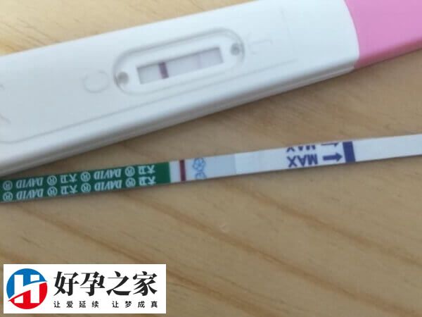 移植第八天检测为白板是很正常的