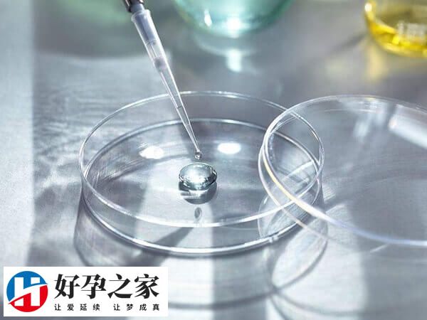 养囊成功移植是不是一定会成功