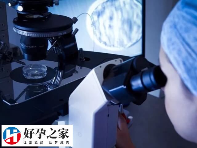 试管一次能移植几个胚胎