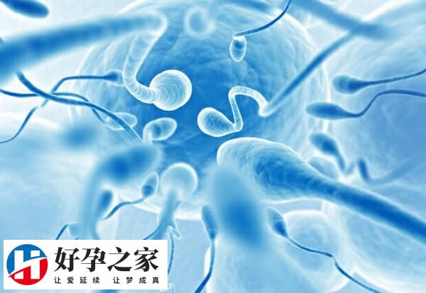 性功能障碍会不会影响精子质量