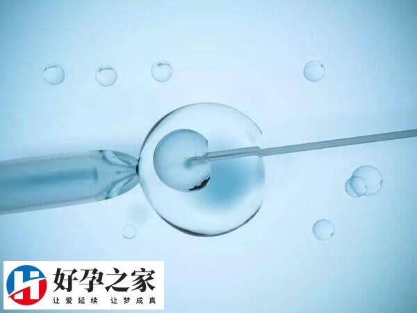 5aa囊胚移植后是不是一定生男孩