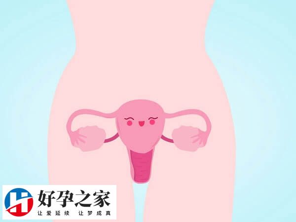 预移植后需要观察女性子宫情况