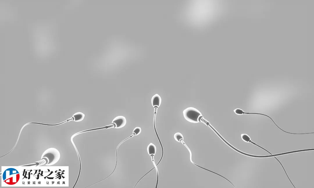 精液太多影响生育