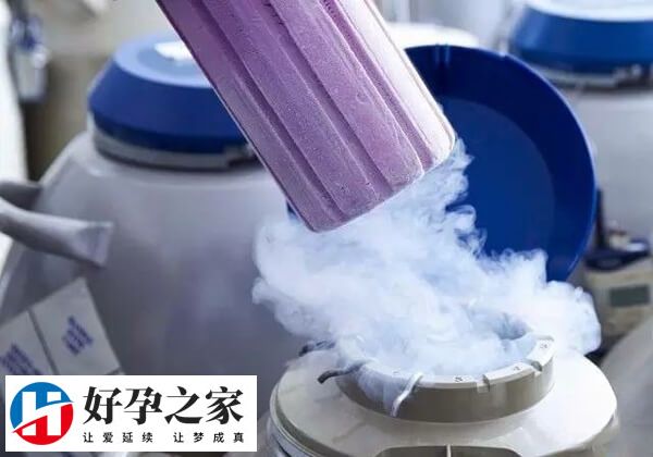 为什么要冷冻胚胎