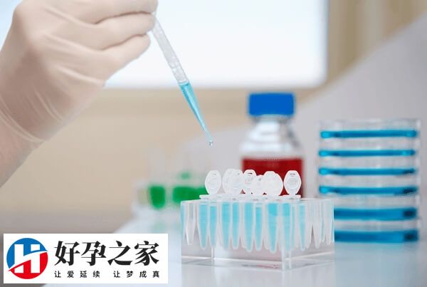 试管移植后少量出血怎么办