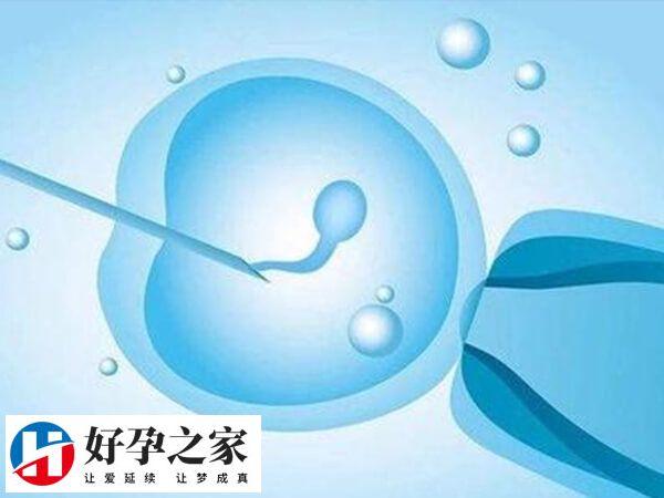 一代试管婴儿为什么男孩多