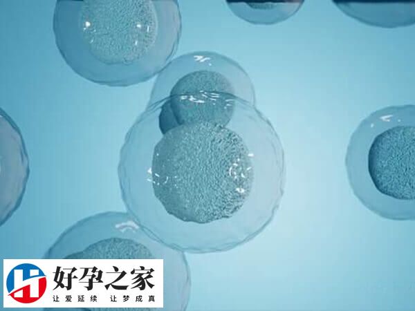 黄体期促排卵方案适不适合大龄女性