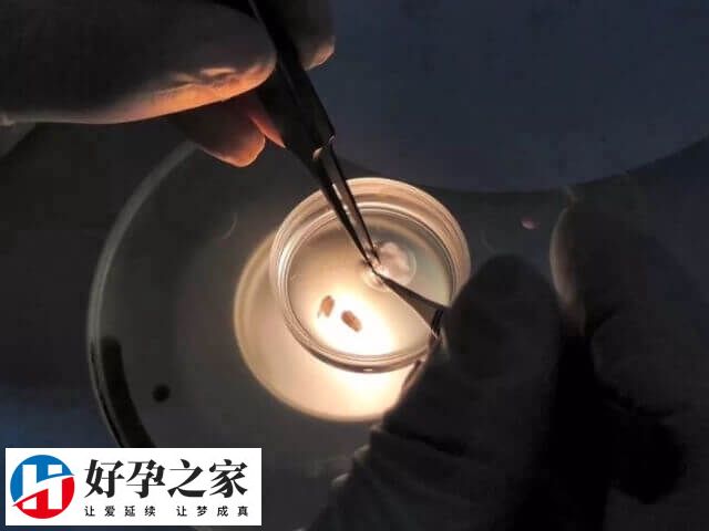 染色体非整倍体怎么办