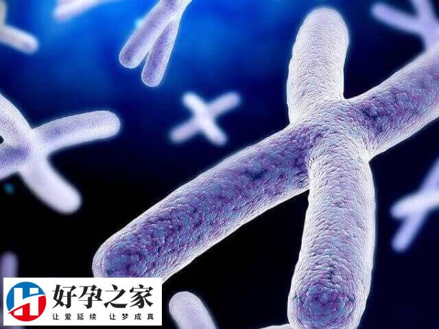 染色体非整倍体风险高