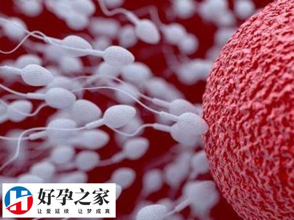 做试管少精症男的取精子最好是禁欲几天？