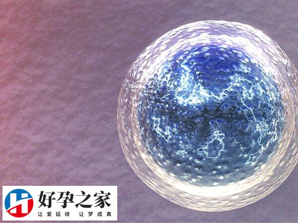 试管婴儿取卵费用大概多少